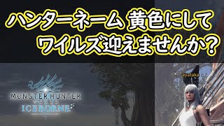 【MHWI】ハンターネームを黄色にする方法！【モンハンワールド：アイスボーン】 [upl. by Marr]