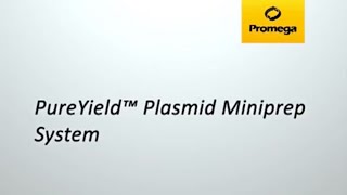 PureYield™ Plasmid Miniprep System [upl. by Drofnas29]