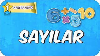 Sayılar 📘 1Sınıf Matematik 2025 [upl. by Nahtnoj]