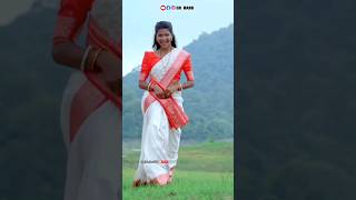 Bugin Disum Re  New Ho Song 2024  Dx Babu  Nirmala Kisku  dxbabu530youtubeshorts trending [upl. by Jorrie]