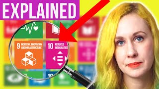 UN Sustainable Development Goals 2030 17 SDGs EXPLAINED for BIZ [upl. by Jeniffer]