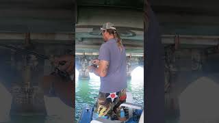 Bridge Fishing in the Florida Keys shorts foryou bridgefishing [upl. by Havens]