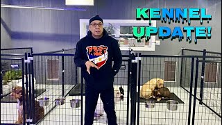 Designing the Perfect Dog Kennel Functional Layout and Build Tips  American Bully [upl. by Sarena]