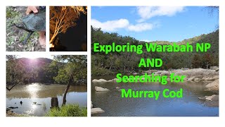 Exploring Warrabah Np and searching out the elusive Murray Cod Adventure ep 35 [upl. by Lesko]