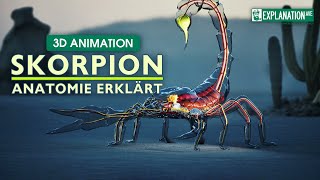 Anatomie des Skorpions Faszinierende Einblicke 🦂⭐️⭐️⭐️ [upl. by Chicoine]