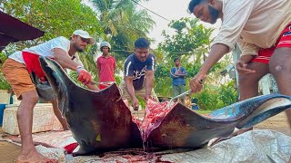 Unbelievable Rare and huge 400kg Green Manta Ray fish cutting in street market Sri Lanka [upl. by Enelyaj]