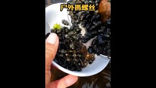 戶外捕魚：漁民使用自家的漏勺在水下捕獲巨量螺絲 逮魚摸蝦 趕海 養魚日記 [upl. by Campagna106]