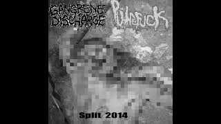 Gangrene Discharge  Corpse G3nitals On My Face [upl. by Ecirtal28]