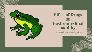 Effect of drugs on Gastrointestinal Motility [upl. by Pavkovic]