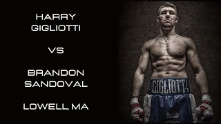 Harry Gigliotti VS Brandon Sandoval  January 28th 2023  Down amp Dirty Boxing  Boxing Highlights [upl. by Chaim]