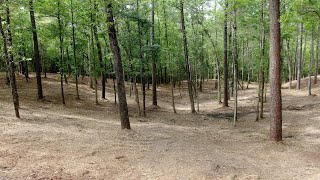 Land Clearing amp Forestry Mulching near Poplarville Mississippi [upl. by Blood764]