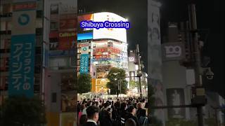 Shibuya crossing in japan🇯🇵 shibuya shibuyacrossingnepoleon travel japan trendingviralvideo [upl. by Virginie220]