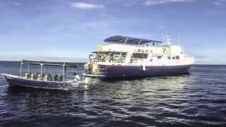 Adventure Buceo Live Aboard Diving [upl. by Lashoh]