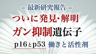 ついに発見・解明 ガン抑制遺伝子 p16とp53 働きと活性剤 [upl. by Eylatan]