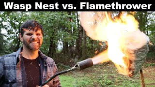 Flamethrower vs Wasp Nest  I was Wrong One More Time Mousetrap Monday [upl. by Dott]