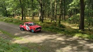 Rally Woodpecker 2023  2WD  SS 4  Haye Park 🌲 [upl. by Anirad]