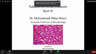 Tubulointerstitial Diseases  Pathology [upl. by Brockwell21]