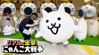 リアルにゃんこ軍団が侵略しにきた！ぐちお、生きてにゃんこに会いにゆく。『リアルに出撃！にゃんこ大戦争』 [upl. by Eirehc745]