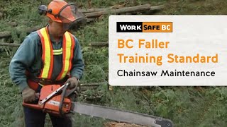 BC Faller Training Standard  Chainsaw Maintenance 3 of 17 [upl. by Dhiren]