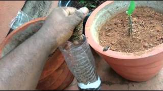 How to make a homemade water filter system [upl. by Feld770]