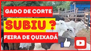 PREÇO DO GADO ATUALIZADO 2024🚨 FEIRA DE QUIXADÁ  JAN24🚨gadoboifeira vacanordestepreçodogado [upl. by Cas]