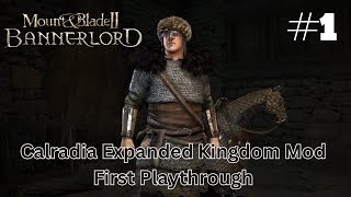 Mount amp Blade II Bannerlord Calradia Expanded Kingdoms Mod First Playthrough Part 1 [upl. by Teleya]