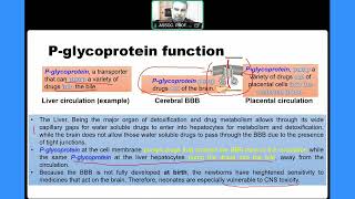 TBYP7 the Intelligent Design of the BBB and other body organs [upl. by Arabela]