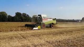 CRESSONI CRX 66m Sojaflex Claas Teil 6 [upl. by Enelrak]