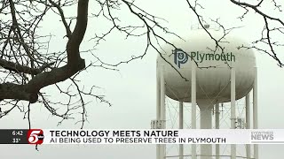 City of Plymouth partnering to use AI technology to survey citys tree population [upl. by Onitnas706]