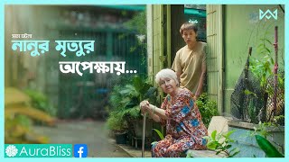 থাইল্যান্ডের সত্য ঘটনা 💔 How to Make Millions Movie Explain In Bangla Korean Drama Bangla 🟤Cinemohol [upl. by Einittirb585]