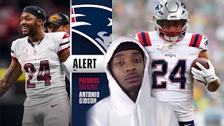 FlightReacts to Patriots Signing Antonio Gibson [upl. by Callum164]