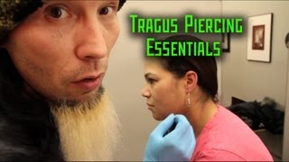 Tragus Piercing Essentials THE MODIFIED WORLD [upl. by Willdon394]