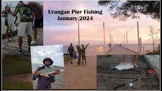 Urangan Pier Fishing Hervey Bay [upl. by Moya]