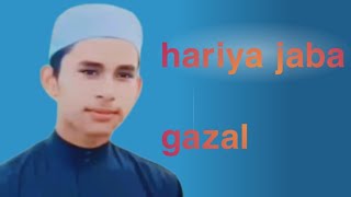 hafeez hasnatul islam gazal [upl. by Asirrak]