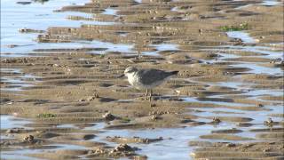 Heacham Norfolk [upl. by Noraed]