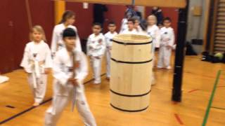 Fastelavn 2014 i Taastrup Taekwondo [upl. by Tabshey]