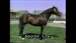 1990 Horse Centric Commercials Aired On ESPN During Thoroughbred Digest [upl. by Latoya]