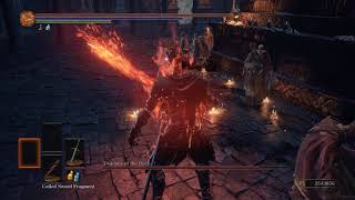 Dark Souls 3 Soul of Cinder vs Deacons of the Deep 3XHealth [upl. by Xxam236]