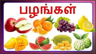 Fruits names in Tamilபழங்களின் பெயர்கள் தமிழில்Paḻaṅkaḷiṉ peyarkaḷ tamiḻ [upl. by Hpeosj109]