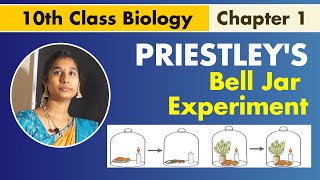 10th class Biology I Bell Jar Experiment I PRIESTLEYS EXPERIMENT I Xtream Telugu [upl. by Blanch]