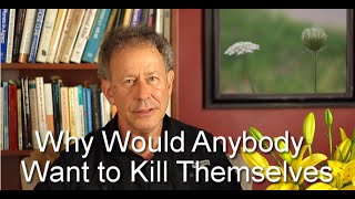 Why Would Anybody Want to Kill Themselves [upl. by Severson]