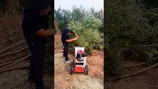 Amazing wood chipper [upl. by Doownil]