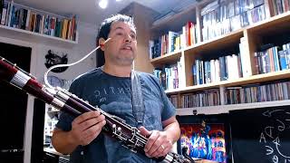 Practicing Ravel Piano Concerto  Bassoon Lesson by Alexandre Silvério [upl. by Octavla]