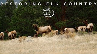 Restoring Elk Country  Colorado Uncompahgre Plateau [upl. by Nohsav593]