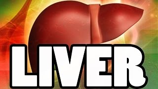 Important Liver Values Albumin ALT ALP amp AST [upl. by Pattin]