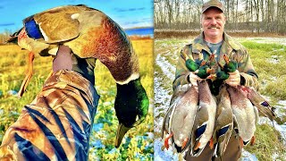 Only 1 DECOY Alberta GREENHEAD Hunt [upl. by Cohbath931]