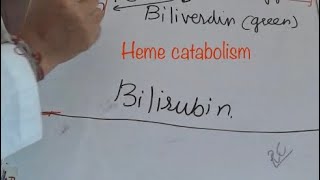 Biochemistry heme breakdownbiochemistry cyclesmetabolism of hemoglobin [upl. by Salhcin577]