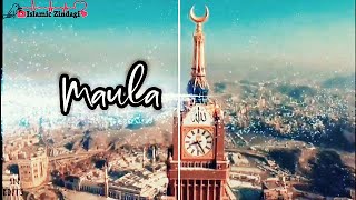 moula ye bhatke musafir ki hai ek k sada New naat Sharif  islamic video by Fidae Rasool 🤲🏻🥰 [upl. by Winola]