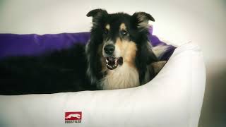 Das extra pralle Hundebett  Das DOG LUXURY LX von DOGSTYLER® [upl. by Yelrak]