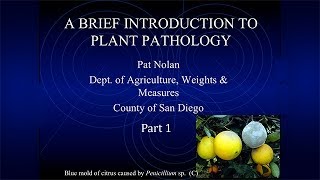 Session 6 Plant Pathology 1 [upl. by Nemajneb751]